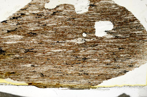 Plane Polarized, S87382