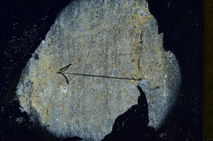 Cross Polarized, S87390