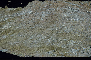 Cross Polarized, S87398