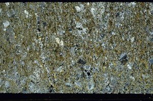 Cross Polarized, S87403