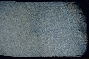Cross Polarized, S87409