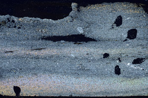 Cross Polarized, S87410