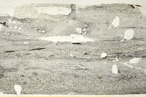 Plane Polarized, S87410
