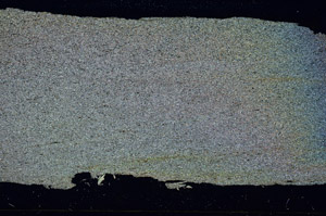 Cross Polarized, S87411