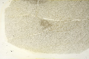 Plane Polarized, S87414