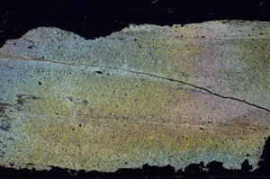 Cross Polarized, S87415