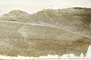 Plane Polarized, S87415