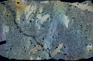 Cross Polarized, S87418