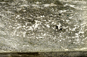 Plane Polarized, S87419