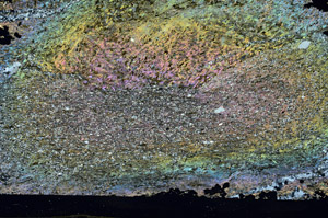 Cross Polarized, S87421