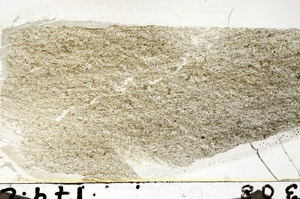 Plane Polarized, S87423/A