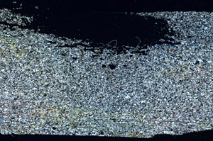 Cross Polarized, S87425
