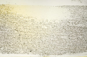 Plane Polarized, S87425