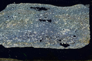 Cross Polarized, S87426