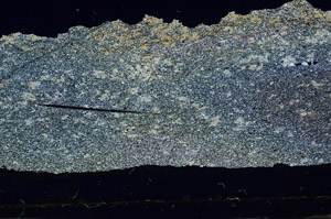 Cross Polarized, S87426/A