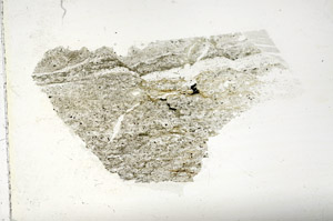 Plane Polarized, S87427/A