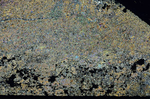 Cross Polarized, S87428