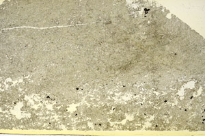 Plane Polarized, S87428