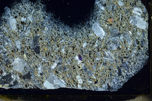 Cross Polarized, S87431