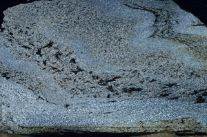 Cross Polarized, S87433