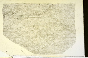 Plane Polarized, S87434