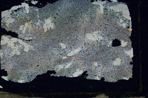 Cross Polarized, S87435/A