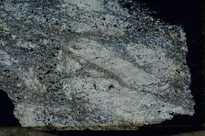 Cross Polarized, S87437