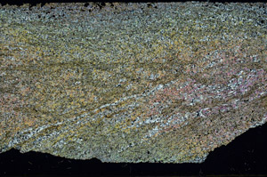 Cross Polarized, S87438
