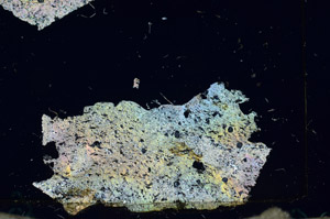 Cross Polarized, S87439