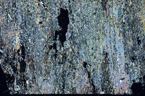Cross Polarized, S87442