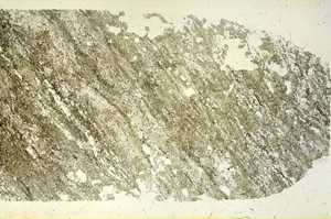 Plane Polarized, S87443