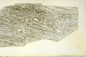 Plane Polarized, S87444