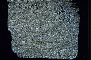 Cross Polarized, S87449