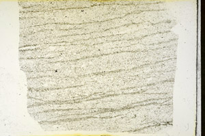 Plane Polarized, S87449