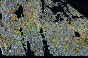 Cross Polarized, S87450