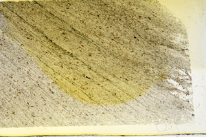 Plane Polarized, S87451