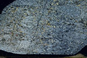 Cross Polarized, S87452