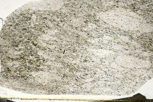 Plane Polarized, S87452