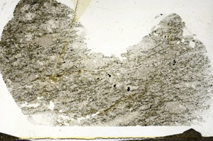 Plane Polarized, S87453