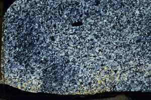 Cross Polarized, S87459