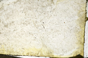 Plane Polarized, S87462