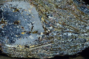 Cross Polarized, S87464