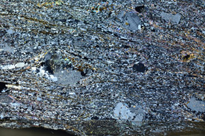 Cross Polarized, S87478