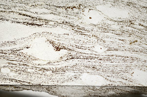 Plane Polarized, S87478