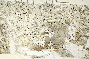 Plane Polarized, S87482