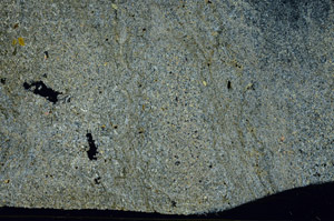 Cross Polarized, S87486