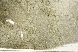 Plane Polarized, S87486