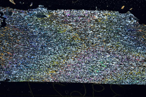 Cross Polarized, S87487