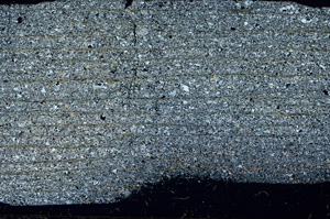 Cross Polarized, S87491