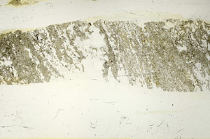Plane Polarized, S87493